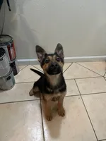 processed/6c139eee-b635-4386-8ec3-f9fbc2eed190/listing/bd730e81-f2eb-4236-ba11-e964afe2abb8/59b4d6c3-97ce-4145-924c-7df7ff663301