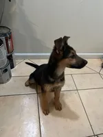 processed/6c139eee-b635-4386-8ec3-f9fbc2eed190/listing/bd730e81-f2eb-4236-ba11-e964afe2abb8/ab5b49eb-7da9-4b09-8fac-f6685ac36119