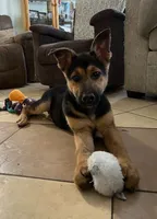 processed/6c139eee-b635-4386-8ec3-f9fbc2eed190/listing/bd730e81-f2eb-4236-ba11-e964afe2abb8/cb1bc327-56ef-4262-ac8e-4018c95a892e