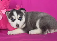 processed/6c13d208-068b-472f-909a-2ed395c85a1f/listing/edaa5d5f-8fc3-4bdb-974b-29f589204416/35c791ed-5b0c-4621-9eae-6e615eafc0a3