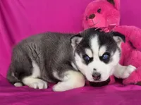 processed/6c13d208-068b-472f-909a-2ed395c85a1f/listing/edaa5d5f-8fc3-4bdb-974b-29f589204416/9daad04b-d595-4e6e-8257-744277771336