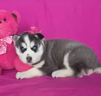 processed/6c13d208-068b-472f-909a-2ed395c85a1f/listing/edaa5d5f-8fc3-4bdb-974b-29f589204416/bec88c19-effe-4bc1-8428-c21d25410698