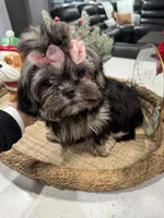 processed/6c22386f-879e-42b6-9434-0f252c6a7c77/listing/45b2d915-9ffc-4c4a-8105-9e4dcdb9a012/74ec8c58-e7c0-41b2-bffd-8a7b218f6beb