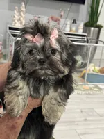 processed/6c22386f-879e-42b6-9434-0f252c6a7c77/listing/45b2d915-9ffc-4c4a-8105-9e4dcdb9a012/bd731e0a-e30d-4f34-9382-e46e5cbc8cc3