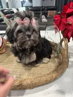 processed/6c22386f-879e-42b6-9434-0f252c6a7c77/listing/45b2d915-9ffc-4c4a-8105-9e4dcdb9a012/ec6f5fef-b0f9-4188-9342-3d8a6df43837