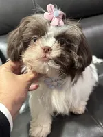 processed/6c22386f-879e-42b6-9434-0f252c6a7c77/listing/52d4c130-bb64-4095-b2b7-83d97e44e3eb/723e0e53-713f-4a0c-8430-052a04fea4d9