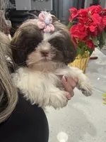 processed/6c22386f-879e-42b6-9434-0f252c6a7c77/listing/52d4c130-bb64-4095-b2b7-83d97e44e3eb/8963ee37-481f-4ee9-bce9-1d06642e21bd