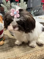 processed/6c22386f-879e-42b6-9434-0f252c6a7c77/listing/52d4c130-bb64-4095-b2b7-83d97e44e3eb/9350aefc-9de1-4c27-85b1-c38450891eac