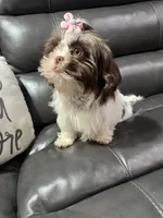 processed/6c22386f-879e-42b6-9434-0f252c6a7c77/listing/52d4c130-bb64-4095-b2b7-83d97e44e3eb/9cf898b3-51ed-4d0c-bc03-b476adfd18c2