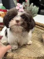 processed/6c22386f-879e-42b6-9434-0f252c6a7c77/listing/52d4c130-bb64-4095-b2b7-83d97e44e3eb/cd63d914-da39-4cc9-9cf1-e3ba2e45f0c8