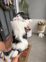 processed/6c22386f-879e-42b6-9434-0f252c6a7c77/listing/e857496a-0e74-4cf2-a445-b64c4599158e/2b555a73-84dd-4e16-9340-5d5696d679da