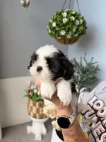 processed/6c22386f-879e-42b6-9434-0f252c6a7c77/listing/e857496a-0e74-4cf2-a445-b64c4599158e/a2f1e20f-0463-4837-8a74-cf7286fe83b8