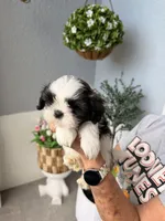 processed/6c22386f-879e-42b6-9434-0f252c6a7c77/listing/e857496a-0e74-4cf2-a445-b64c4599158e/c67a2acb-bea8-4e20-a9d4-a78c4233fca8