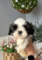 processed/6c22386f-879e-42b6-9434-0f252c6a7c77/listing/e857496a-0e74-4cf2-a445-b64c4599158e/cdd9cf22-17eb-49de-aeeb-487e79777b39