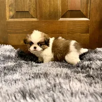 processed/6c2e1c6b-b193-437d-afc3-e7b4dc255bf2/listing/58a5f714-d175-4e1d-a2c9-7a524fd20d2a/4b819d06-945f-4d8f-9cf5-d42382e0942a