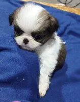 processed/6c2e1c6b-b193-437d-afc3-e7b4dc255bf2/listing/58a5f714-d175-4e1d-a2c9-7a524fd20d2a/e08d8ea6-7202-43b1-996c-bbe1f88b4463