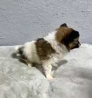 processed/6c2e1c6b-b193-437d-afc3-e7b4dc255bf2/listing/95ebb02f-f912-41e5-90f6-3c5df47f8dc1/b19d785a-ea55-4be7-b630-7e2e72a8b934