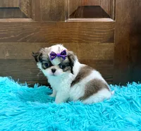 processed/6c2e1c6b-b193-437d-afc3-e7b4dc255bf2/listing/b0f3cdb6-a324-4cf3-9428-aedabfb8a7f7/a808c7b3-d9bd-47bd-9826-b55a2f0cacc3