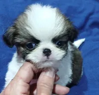 processed/6c2e1c6b-b193-437d-afc3-e7b4dc255bf2/listing/b0f3cdb6-a324-4cf3-9428-aedabfb8a7f7/e3ecb0c0-ee88-40c9-831f-5b835f374a6b