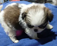 processed/6c2e1c6b-b193-437d-afc3-e7b4dc255bf2/listing/fcc13b28-0317-425c-b9c7-112e7379242f/0e481087-ec3b-4b94-95a1-82fc76ef7d48