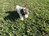 processed/6c3afbf8-853d-4e18-8abb-4898435ad966/listing/0ea56b5b-e2a0-43e4-a25b-7e35521b94e7/05508119-8c26-4e59-979a-56a2a103a3de