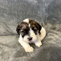 processed/6c3afbf8-853d-4e18-8abb-4898435ad966/listing/0ea56b5b-e2a0-43e4-a25b-7e35521b94e7/241149ac-c0e8-4d53-9266-7465eac3e457