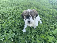 processed/6c3afbf8-853d-4e18-8abb-4898435ad966/listing/0ea56b5b-e2a0-43e4-a25b-7e35521b94e7/295303bc-9878-4145-b647-b8d9f38ee34d