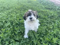 processed/6c3afbf8-853d-4e18-8abb-4898435ad966/listing/0ea56b5b-e2a0-43e4-a25b-7e35521b94e7/2c3b6b44-2b92-4541-a42b-85caa64f46c1