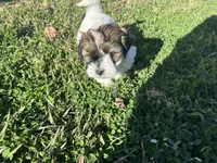 processed/6c3afbf8-853d-4e18-8abb-4898435ad966/listing/0ea56b5b-e2a0-43e4-a25b-7e35521b94e7/32a84e14-ded0-43c2-8268-f527e24b520b