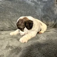 processed/6c3afbf8-853d-4e18-8abb-4898435ad966/listing/0ea56b5b-e2a0-43e4-a25b-7e35521b94e7/a236ecb7-38f9-4c91-9916-0393705c4fa1