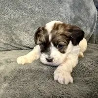 processed/6c3afbf8-853d-4e18-8abb-4898435ad966/listing/0ea56b5b-e2a0-43e4-a25b-7e35521b94e7/be807e61-0a2e-457f-a4a3-b2bda0024c67