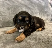 processed/6c3afbf8-853d-4e18-8abb-4898435ad966/listing/a60d8ee1-f4e8-4430-bca8-41442c5a68c6/0c56524a-af86-4798-a66c-5d7b177bc0bc