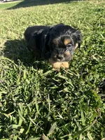 processed/6c3afbf8-853d-4e18-8abb-4898435ad966/listing/a60d8ee1-f4e8-4430-bca8-41442c5a68c6/175cb5dd-8e3c-492b-af41-8bdba407d62f