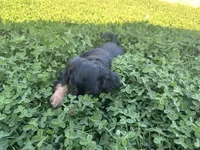 processed/6c3afbf8-853d-4e18-8abb-4898435ad966/listing/a60d8ee1-f4e8-4430-bca8-41442c5a68c6/54793e54-2dd9-4e2d-ba4a-6cc39cc5f8da