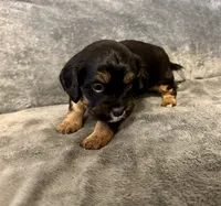 processed/6c3afbf8-853d-4e18-8abb-4898435ad966/listing/a60d8ee1-f4e8-4430-bca8-41442c5a68c6/5d33c255-de15-4c7a-81ef-eead096d4389