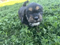 processed/6c3afbf8-853d-4e18-8abb-4898435ad966/listing/a60d8ee1-f4e8-4430-bca8-41442c5a68c6/90d07306-f48e-4e06-a338-862ffcdda411