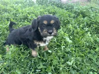 processed/6c3afbf8-853d-4e18-8abb-4898435ad966/listing/a60d8ee1-f4e8-4430-bca8-41442c5a68c6/b6640ac4-afde-439e-868f-7915266e44c5