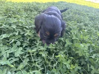 processed/6c3afbf8-853d-4e18-8abb-4898435ad966/listing/a60d8ee1-f4e8-4430-bca8-41442c5a68c6/c487a10d-1232-48eb-949c-7af053bb160c