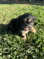 processed/6c3afbf8-853d-4e18-8abb-4898435ad966/listing/a60d8ee1-f4e8-4430-bca8-41442c5a68c6/d1e3b79a-fa5b-4a93-b5fd-05985f32c950