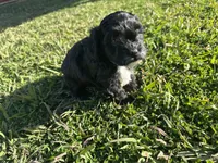 processed/6c3afbf8-853d-4e18-8abb-4898435ad966/listing/b36bbfec-49fe-4f6d-b23e-e86ff4568e70/05d5a9ad-0826-4488-be62-2cfa41dffbe5