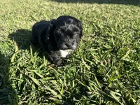 processed/6c3afbf8-853d-4e18-8abb-4898435ad966/listing/b36bbfec-49fe-4f6d-b23e-e86ff4568e70/238cacd1-55be-49c0-9d92-ffaf290174cd