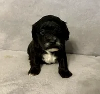 processed/6c3afbf8-853d-4e18-8abb-4898435ad966/listing/b36bbfec-49fe-4f6d-b23e-e86ff4568e70/bdcb5821-97f4-4130-a3b9-7d16320e80a4