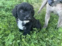 processed/6c3afbf8-853d-4e18-8abb-4898435ad966/listing/b36bbfec-49fe-4f6d-b23e-e86ff4568e70/e0a0f7c3-a25a-41e3-b6d8-7c3a20505d2a