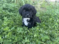 processed/6c3afbf8-853d-4e18-8abb-4898435ad966/listing/b36bbfec-49fe-4f6d-b23e-e86ff4568e70/e2f239b4-94a0-426b-b607-576e8cdf3551