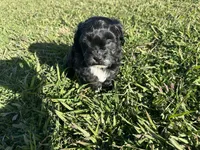 processed/6c3afbf8-853d-4e18-8abb-4898435ad966/listing/b36bbfec-49fe-4f6d-b23e-e86ff4568e70/ee86670a-4ebc-4a0a-a651-34927db25e6a