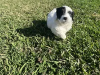 processed/6c3afbf8-853d-4e18-8abb-4898435ad966/listing/b8874c2c-a7b6-4a39-aa93-1d9a275fa967/26189e69-bd5b-47f4-ae51-4e92e8dee171