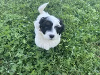 processed/6c3afbf8-853d-4e18-8abb-4898435ad966/listing/b8874c2c-a7b6-4a39-aa93-1d9a275fa967/71830a92-f38c-484f-8ae5-61edc308c039