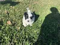 processed/6c3afbf8-853d-4e18-8abb-4898435ad966/listing/b8874c2c-a7b6-4a39-aa93-1d9a275fa967/97efb22e-a8ac-4c80-a641-ffa1d82bcec4