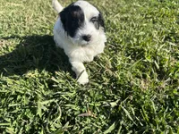 processed/6c3afbf8-853d-4e18-8abb-4898435ad966/listing/b8874c2c-a7b6-4a39-aa93-1d9a275fa967/9903065b-e54a-4d10-bd4a-60bd7dd4abaa