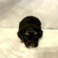 processed/6c3afbf8-853d-4e18-8abb-4898435ad966/listing/eb289e69-4c50-4b98-8ad3-30c4881928bc/4e5f07f9-49a1-4b09-adff-c5bab33b049a